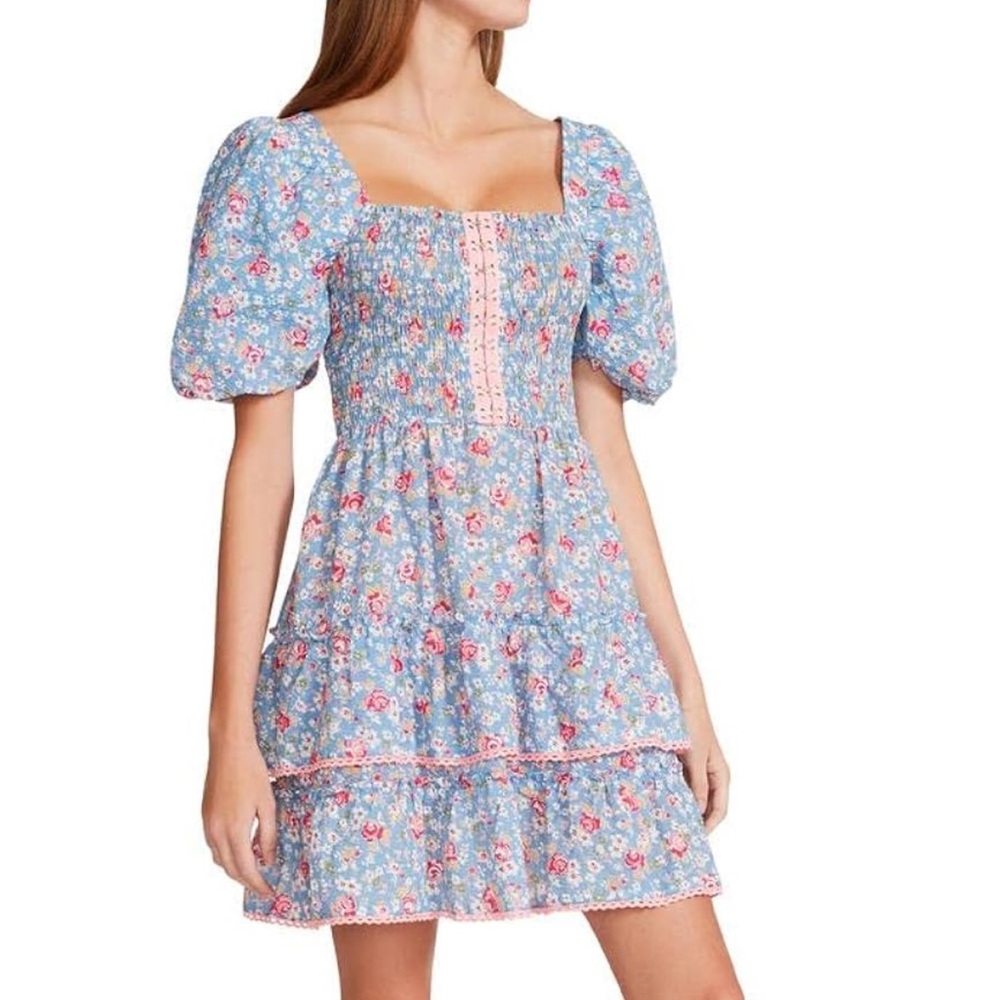 Betsey Johnson Endless Sky Cottage Floral Seersucker Dress Size S